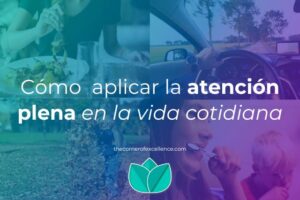 cuando conviene alternativas para atencion diaria